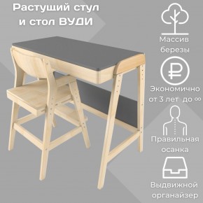 Комплект растущий стол и стул 38 попугаев «Вуди» (Серый, Без покрытия) в Серове - serov.mebel-74.com | фото