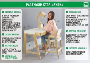 Комплект растущий стол и стул с чехлом 38 попугаев «Вуди» (Белый, Береза, Ромбы) в Серове - serov.mebel-74.com | фото