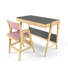 Комплект растущий стол и стул с чехлом 38 попугаев «Вуди» (Серый, Береза, Розовый) в Серове - serov.mebel-74.com | фото