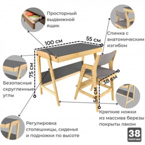 Комплект растущий стол и стул с чехлом 38 попугаев «Вуди» (Серый, Береза, Серый) в Серове - serov.mebel-74.com | фото