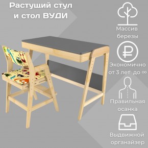 Комплект растущий стол и стул с чехлом 38 попугаев «Вуди» (Серый, Без покрытия, Монстры) в Серове - serov.mebel-74.com | фото
