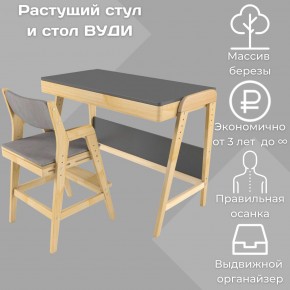 Комплект растущий стол и стул с чехлом 38 попугаев «Вуди» (Серый, Без покрытия, Серый) в Серове - serov.mebel-74.com | фото