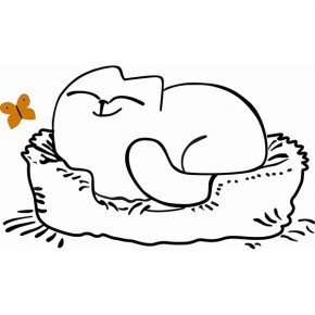 Кровать двухуровневая Кот № 900.1 ЛЕВАЯ (туя светлая/белый) в Серове - serov.mebel-74.com | фото