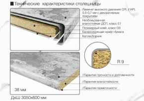 Кухонный фартук со столешницей (А-04) в едином стиле (3050 мм) в Серове - serov.mebel-74.com | фото