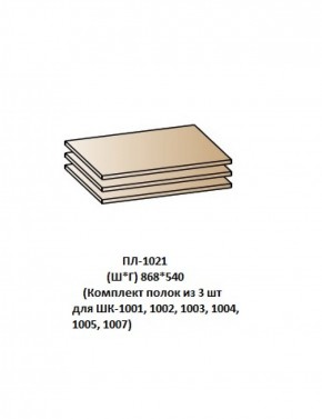 ПЛ-1021 (Комплект полок из 3 шт для ШК-1001, 1002, 1003, 1004, 1005, 1007) в Серове - serov.mebel-74.com | фото