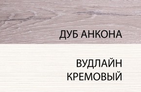Шкаф 1DT P, OLIVIA, цвет вудлайн крем/дуб анкона в Серове - serov.mebel-74.com | фото