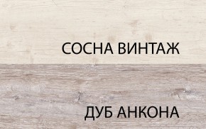 Шкаф 2D1SL, MONAKO, цвет Сосна винтаж/дуб анкона в Серове - serov.mebel-74.com | фото