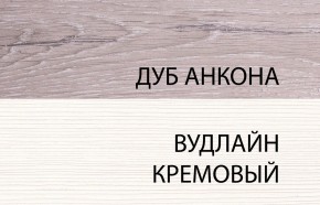 Шкаф 2DG, OLIVIA, цвет вудлайн крем/дуб анкона в Серове - serov.mebel-74.com | фото