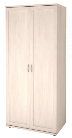 Шкаф для одежды 2-х дверный Ника-Люкс 21 в Серове - serov.mebel-74.com | фото