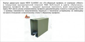 Шкаф-купе 1500 серии NEW CLASSIC K2+K2+B2+PL2(2 ящика+1 штанга+1 полка) профиль «Капучино» в Серове - serov.mebel-74.com | фото