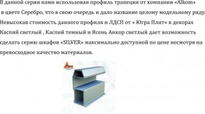 Шкаф-купе 1500 серии SILVER S4+S3Z+B2+PL1 (2 ящика+1 штанга) профиль «Серебро» в Серове - serov.mebel-74.com | фото