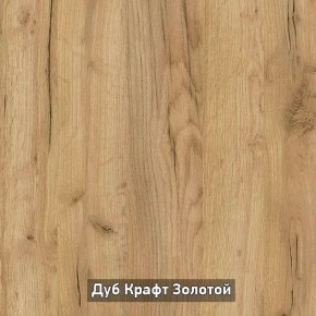 Шкаф купе без зеркала "Ольга-Лофт 10.1" в Серове - serov.mebel-74.com | фото