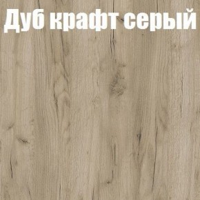 Шкаф-купе Эдем 1.5 (Дуб Крафт серый/Бетонный камень) двери ЛДСП в Серове - serov.mebel-74.com | фото