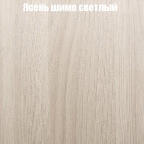 Шкаф-купе «ТАНДЕМ» 2-х дверный в алюминиевом профиле (Дверь К+К) 1200/h2200 в Серове - serov.mebel-74.com | фото