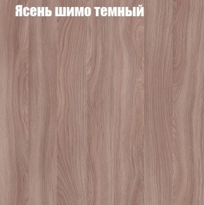 Шкаф-купе «ТАНДЕМ» 2-х дверный в алюминиевом профиле (Дверь К+К) 1200/h2200 в Серове - serov.mebel-74.com | фото