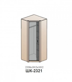 Шкаф ШЕР Дуб серый/айронвуд серебро (ШК-2321) в Серове - serov.mebel-74.com | фото