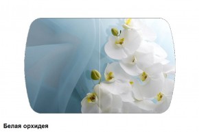 Стол Бостон 900*600 (опоры Брифинг) Стекло/фотопечать Белая Орхидея в Серове - serov.mebel-74.com | фото
