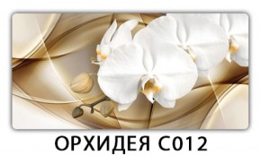 Стол раздвижной Трилогия с фотопечатью Доска D112 в Серове - serov.mebel-74.com | фото