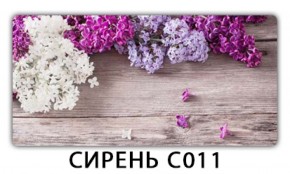 Стол раздвижной Трилогия с фотопечатью Орхидея R041 в Серове - serov.mebel-74.com | фото