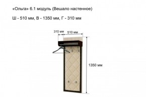 Вешало настенное "Ольга 6.1" в Серове - serov.mebel-74.com | фото