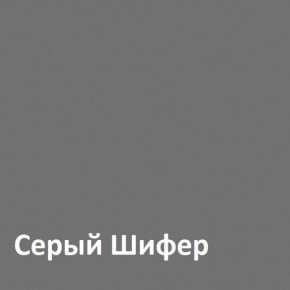 Юнона Шкаф торцевой 13.221 в Серове - serov.mebel-74.com | фото